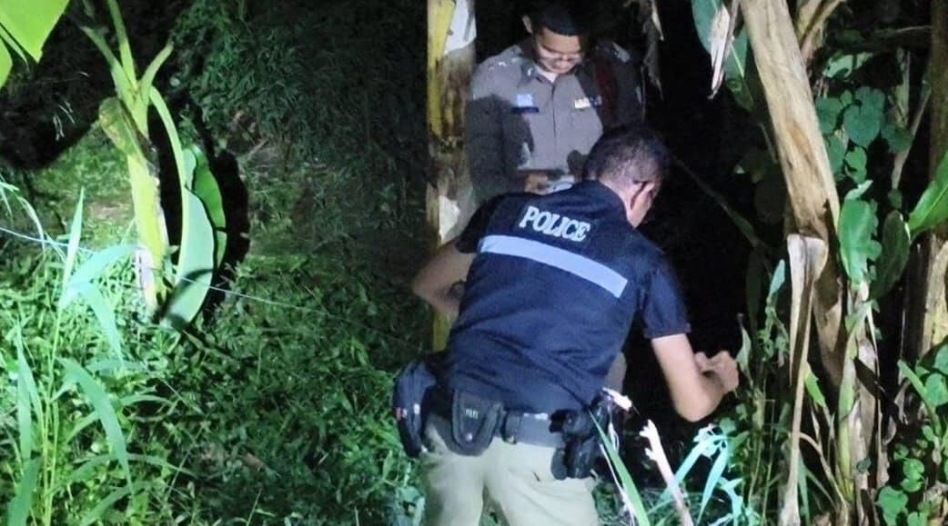 #泰国新闻 【男子设电网拒捕反触电身亡 幼子误入受伤送医】 2026年8月15日消息,叻武里府坡塔兰县警员巡逻时发现携带长枪的44岁男子艾克,随即展开追捕。男…