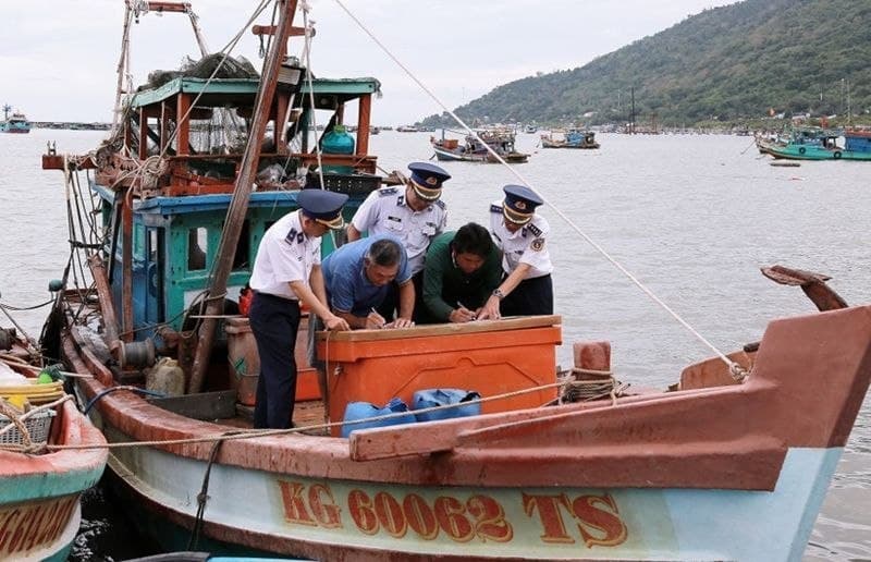 #越南新闻 【岘港严打IUU捕捞升级海上执法 促转型保欧盟市场】 2026年8月14日消息,越南岘港当局宣布全面强化打击非法、不报告、不受管制(IUU)捕捞行…
